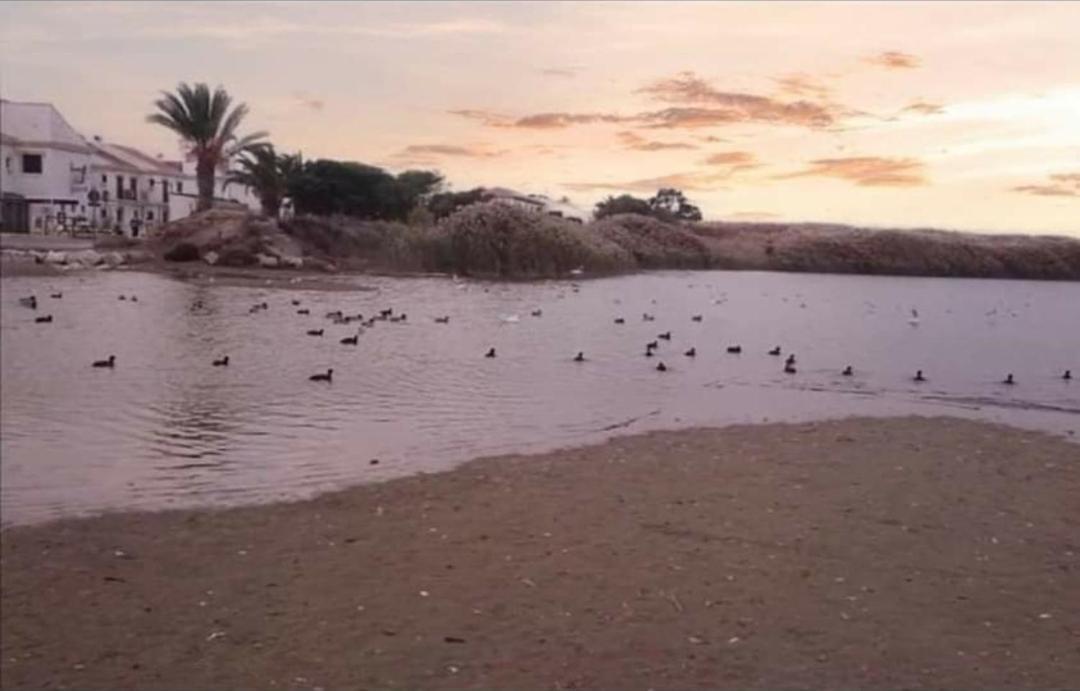 Urbanizacion Vera Coast Dış mekan fotoğraf